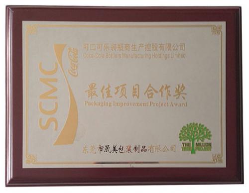 最佳项目合作奖